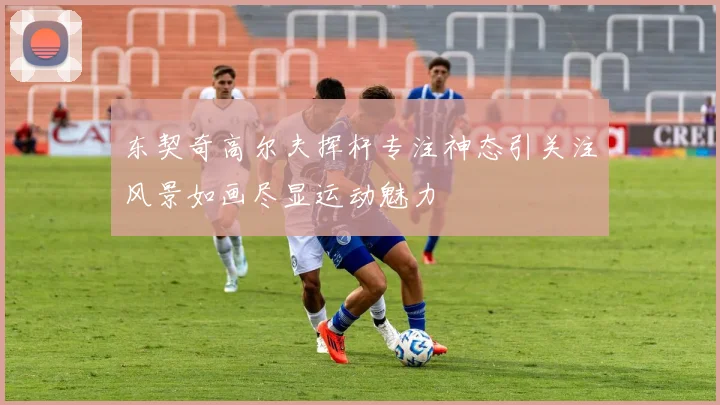 东契奇高尔夫挥杆专注神态引关注风景如画尽显运动魅力